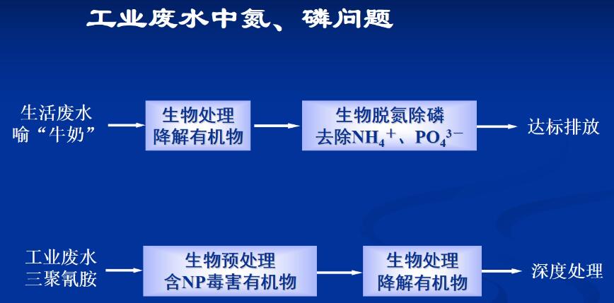 工業(yè)園區(qū)有機(jī)物的生物降解性和毒性(3)