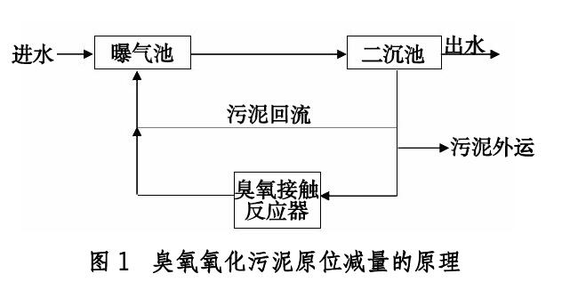 研究臭氧化污泥回流對出水水質及污泥性質的影響(1) 研究臭氧化污泥回流對出水水質及污泥性質的影響(1)